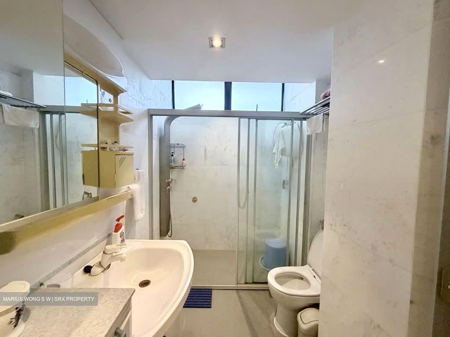 Mandarin Gardens (D15), Condominium #565049271